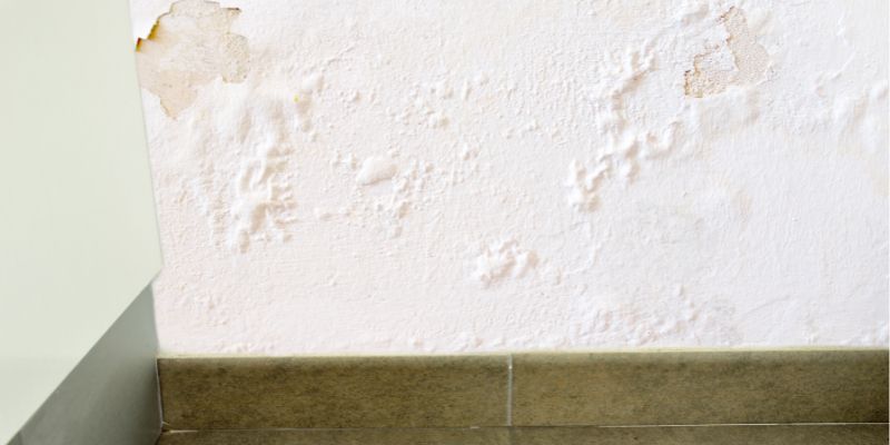 Como Detectar Vazamento de Água Dentro da Parede em Aparecida de Goiânia: Confira 5 Dicas vazamaneto de água dentro da parede